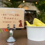 三重県アサヒ農園の青切みかん